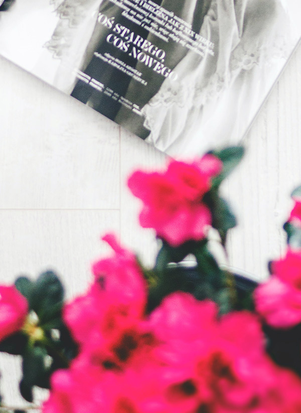 shop-downloadable-img1-gallery2 j